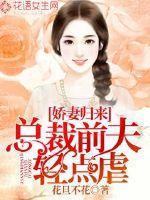 娇妻归来:总裁前夫轻点虐