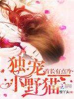 首长有点冷:独宠小野猫