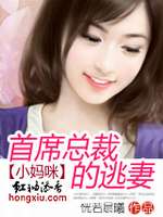 四神集团①:首席总裁的逃妻